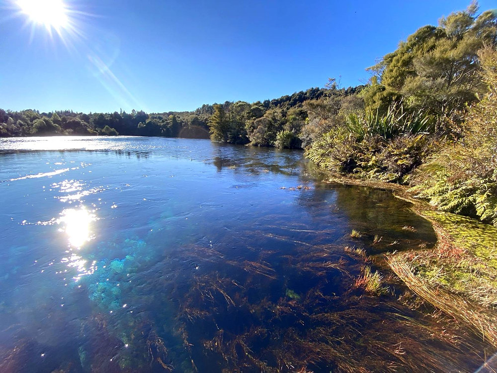 Easy Family Walks in Golden Bay, New Zealand