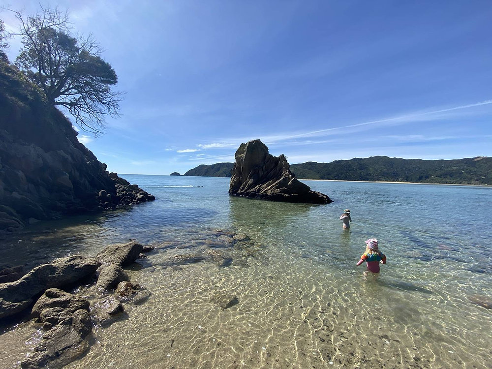 A Guide to Golden Bay’s Variety of Beaches — From Hidden Coves to Long Golden Stretches of Sand