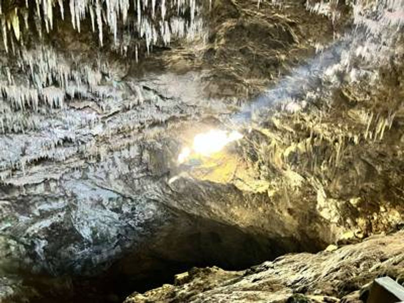 Rawhiti Cave Walk in Takaka