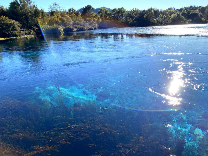 Te Waikoropupū Springs in Takaka